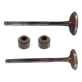 Valvulas C/Sellos Suzuki En125Hu Adm/Esc S001495