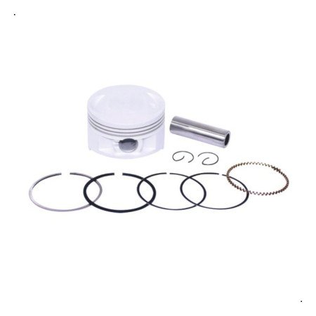 Piston Con Anillos Italika Motonetas Gsc/Gts/Trn/Ws175 Std S001423